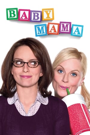 Baby Mama (2008) Hindi Dual Audio 300MB
