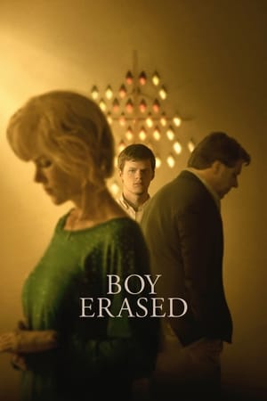 Boy Erased (2018) Hindi Dual Audio 380MB