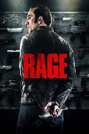 Tokarev (Rage) 2014 Hindi Dual Audio 300MB